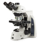 Delphi-X Observer