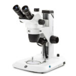 Nexius Zoom (EVO)